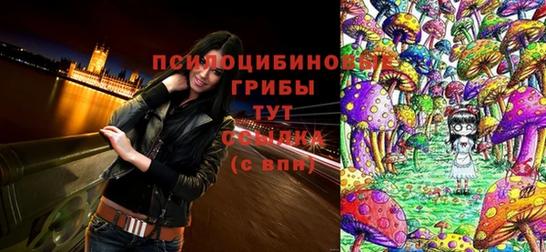 прущая мука Пестово