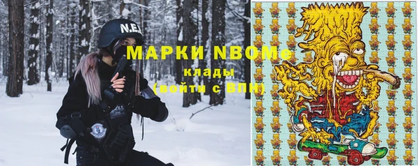 мдпв Пересвет