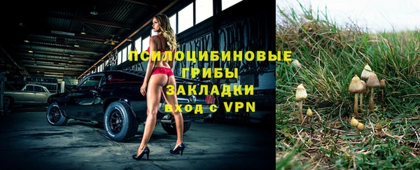 прущая мука Пестово