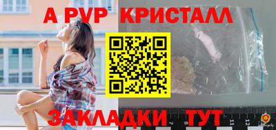 СК Гатчина