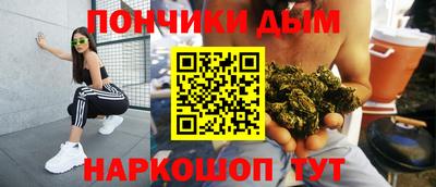 СК Гатчина