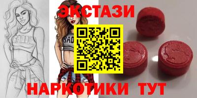СК Гатчина