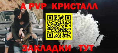 СК Гатчина