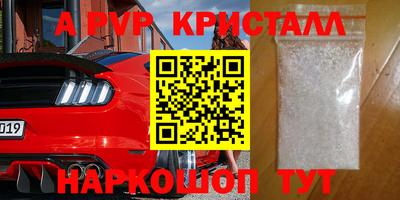 СК Гатчина