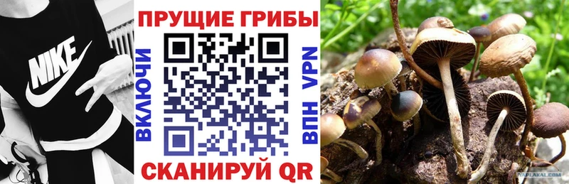 Псилоцибиновые грибы Magic Shrooms  Биробиджан 