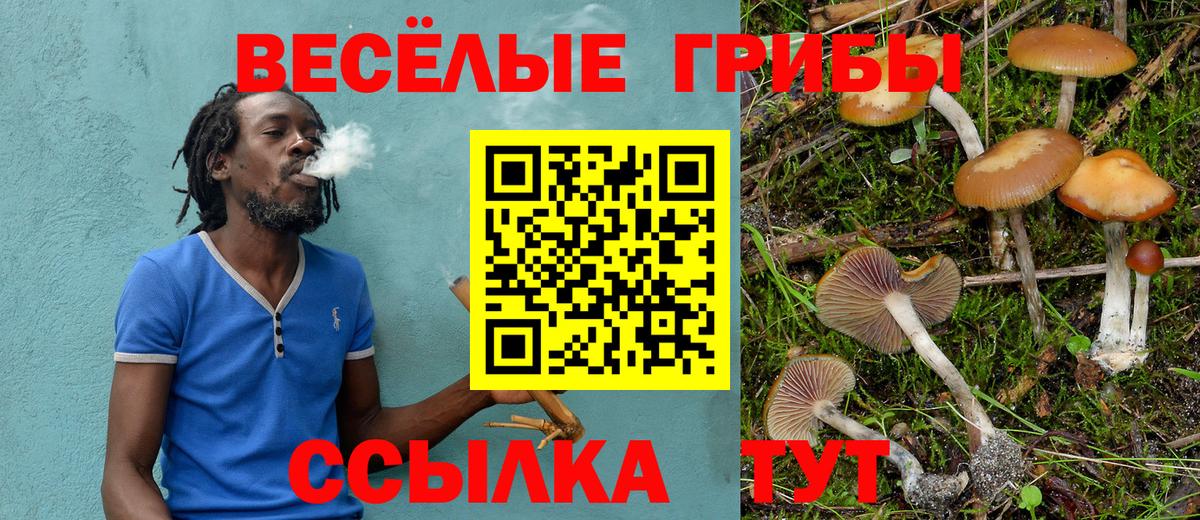 Галлюциногенные грибы Psilocybine cubensis  Вход с VPN  Биробиджан 