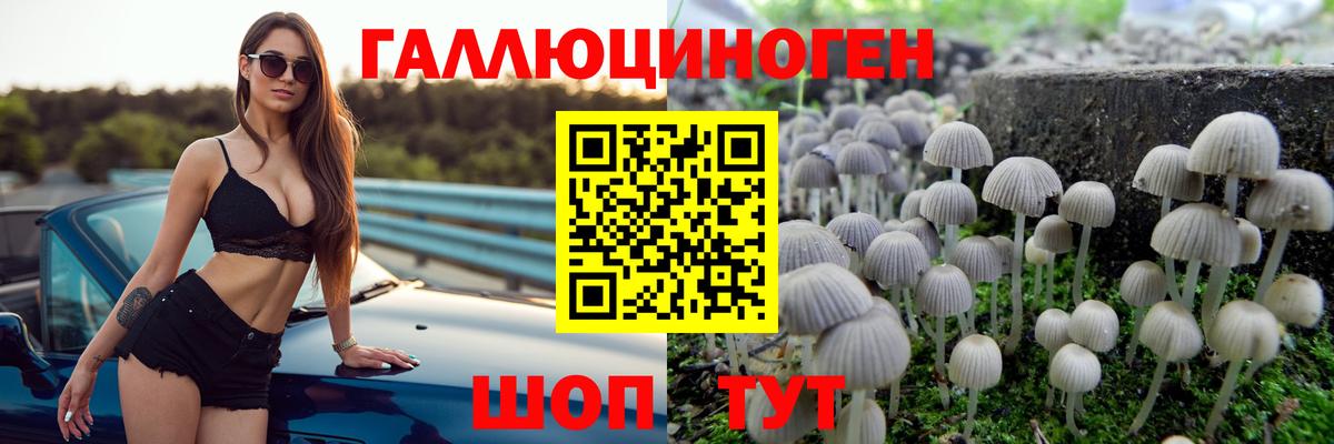 Галлюциногенные грибы Cubensis Биробиджан