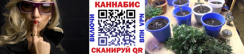 где можно купить наркотик  Биробиджан  Каннабис тримм 