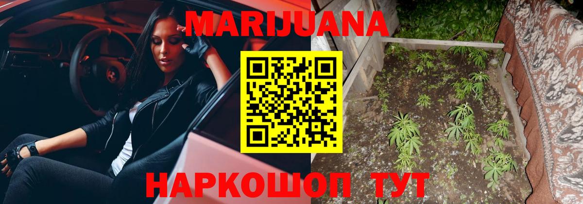 Каннабис Биробиджан